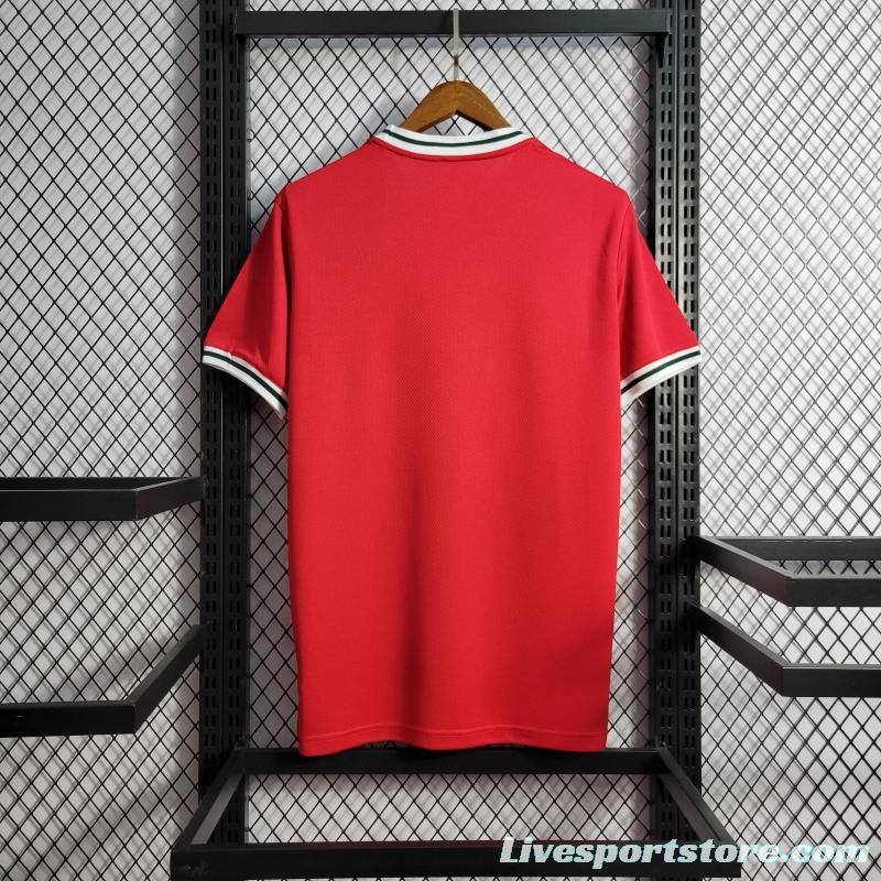 2022 Wales Home Soccer Jersey