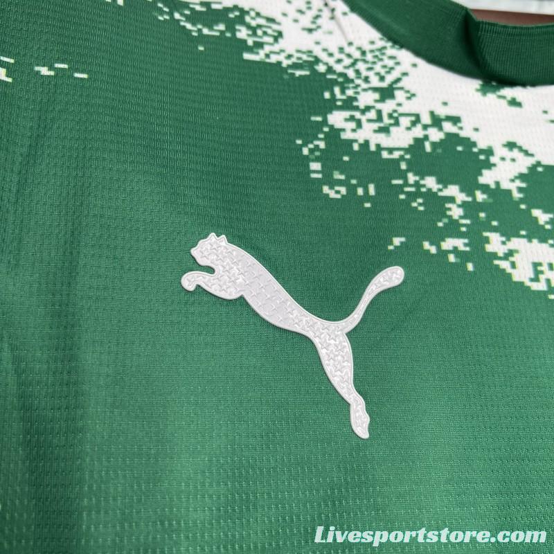 24/25 Palmeiras Special Edition Green And White Jersey